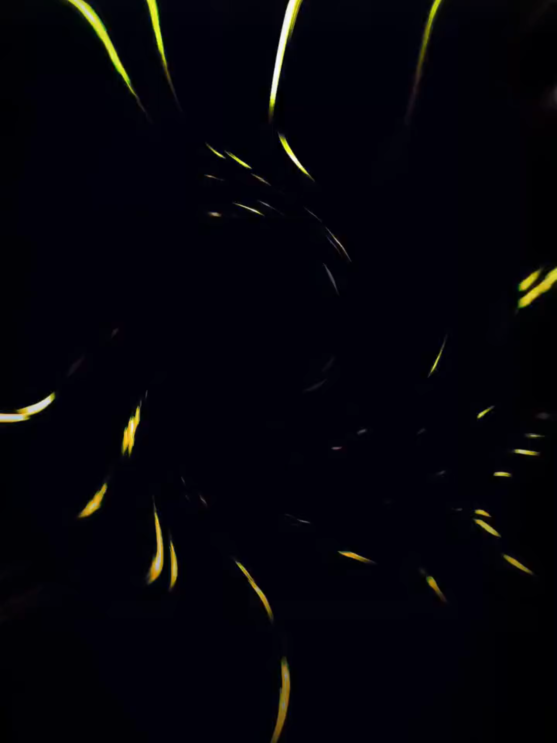 Quality dia akn kimg hoa jabo 😉 #sajeedraihansamir