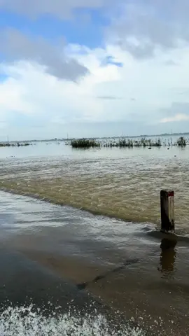 ❤️CHÚT TÌNH GỞI ĐẾN BÀ CON VÙNG LŨ HUẾ THƯƠNG NGÀY THỨ 4 ❤️ ☘️hôm nay nhóm chúng con chia sẻ 500p quà đến bà con Hương Trà-Huế,mỗi phần quà gồm 1 thùng mì,1 chai dầu,1 lóc sữa,1 bịch hạt nêm,1 bịch xúc xích,2 lon cá hộp,1 hộp bánh,5 bịch sữa đậu nành...và trao ít tiền mặt cho mấy hoàn cảnh neo đơn khó khăn trong mùa bão lũ. 👉S mua 100 thùng mì,tất cả số quà còn lại của e Quang Tùng 🙏 💰danh sách S nhận gửi gắm của mn :  1. Nhóm Hoa Từ Bi 5tr  2. Phượng SG 3tr  3. Bạn Hưng 2tr 4. C Trâm (bên Sherri Duyen Duong) 2tr160 5. Công Tú 200k ➖➖➖➖➖➖➖➖➖➖➖➖➖➖➖➖➖ Tc 12.360.000 ₫ 🎁 danh sách S chi : 100 thùng mì*75k=7tr500 1 hộ chú áo xanh khó khăn 300k 2 ng chèo thuyền*300k=600k 3 hộ ng già neo đơn*500k=1tr500 1 hộ cụ già nằm 1 chổ 1tr 1 hộ nhà bị mất ng thân trong đợt lũ 2tr  ➖➖➖➖➖➖➖➖➖➖➖➖➖➖➖ Tc 12.900.000 ₫ Tổng nhận 12.360.000 ₫ Tổng chi 12.900.000 ₫  ❤️S xin thay mặt bà con ở vùng cô lập cảm ơn cả nhà mình nhiều lắm,đã quan tâm và yêu thương bà con xứ Huế trong những lúc khó khăn,hoạn nạn này 🙏 #capcut #tiktokvietnam #xuhuongtiktok #xuhuongtiktok #tiktokgiaitri 