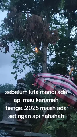 ini cumak setingan ton ya...hahahaha