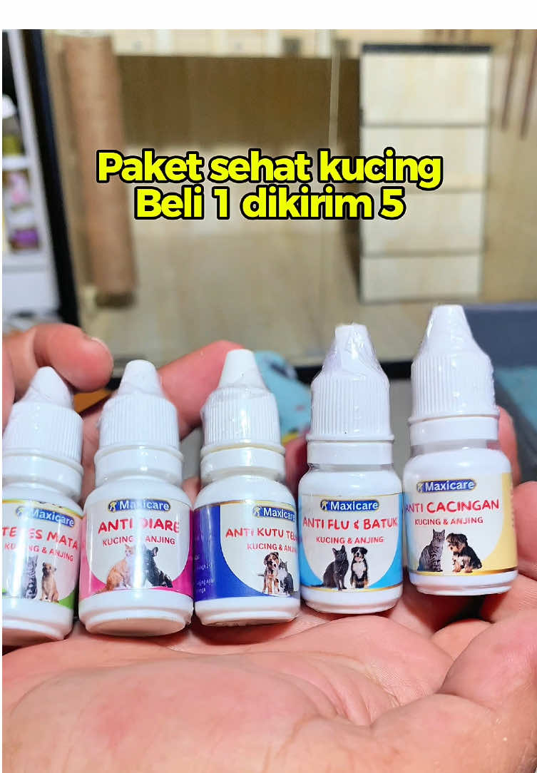 Wajib sedia ini dirumah!!! Jaga jaga kalo kucing tiba tiba sakit. Paket sehat kucing beli 1 dikirim 5!!! #paketsehatkucing #paketsehatanabul #catsoftiktok #kucingtiktok #fyp 