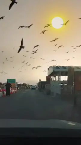 #สตอรี่ความรู้สึก #CapCut #fyp 