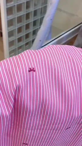 Nơ sọc xanh nhạt kèm quần ống rộng cạp cao, màu sắc tươi sáng cho mùa xuân#xuhuongtiktok #thoitrang #măcdepmoingay #quanongsuong #thoitrangnu 