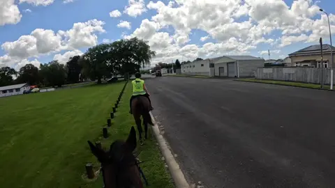 Start of riding season was eventful 🤣🤣🤣 #fyp #standardbred #horse #horsesoftiktok #standardbredsoftiktok 