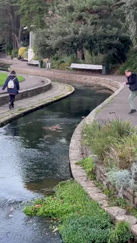 #fail #usa🇺🇸 #funny #foryoupage  #fyp