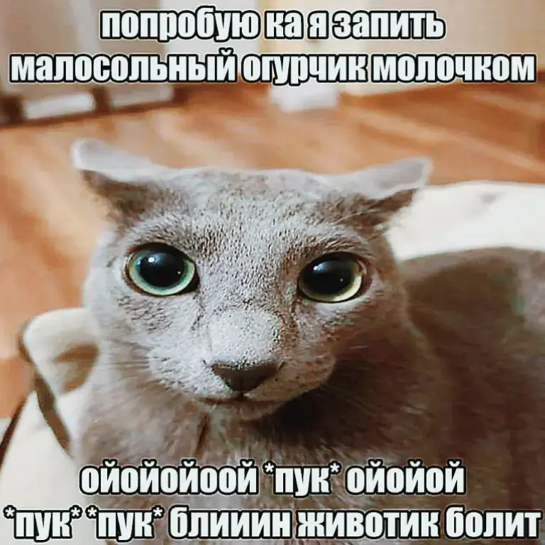 #хтонь #котики #эстетика #гомункул 
