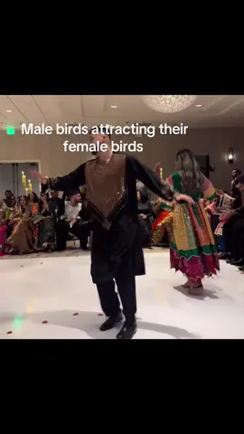 Their hand movement are basically the same hahaha #afghan #tajik #pashtun #afghanistan #afghanwedding 