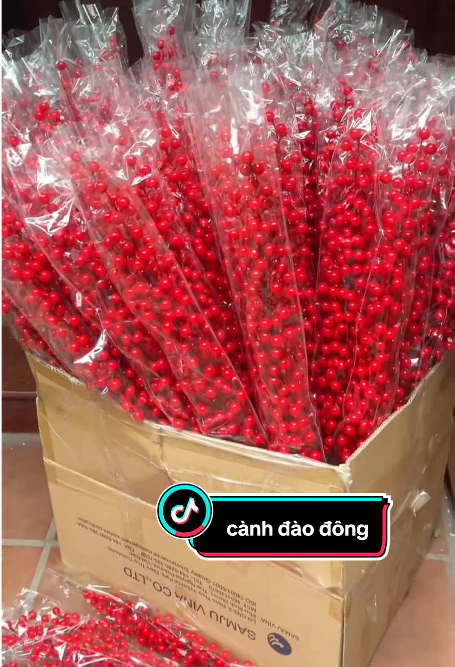 Cành đào đông decor Tết 2026 #trangtri #decor #trangtritet #trangtritet2026 #daodong 