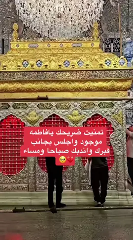 #انخاج نخوه فاطمه لاتخيبيني#يافاطمة الزهراء #السلام عليك يابنت رسول الله