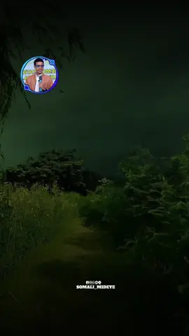 Maxaa kafahantay #Gabay @Hadal-wanaajiye #foryoupage❤️❤️ #foryou #foryoupage❤️❤️ 