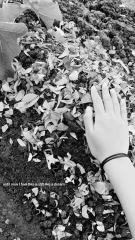 masih bertanya-tanya mengapa surga lebih membutuhkan kamu lebih cepat, tetapi aku berharap surga memperlakukan kamu lebih baik daripada yang pernah dilakukan dunia yg kejam ini. jika benar ada kehidupan selanjutnya mari hidup lebih lama kak❤️‍🩹