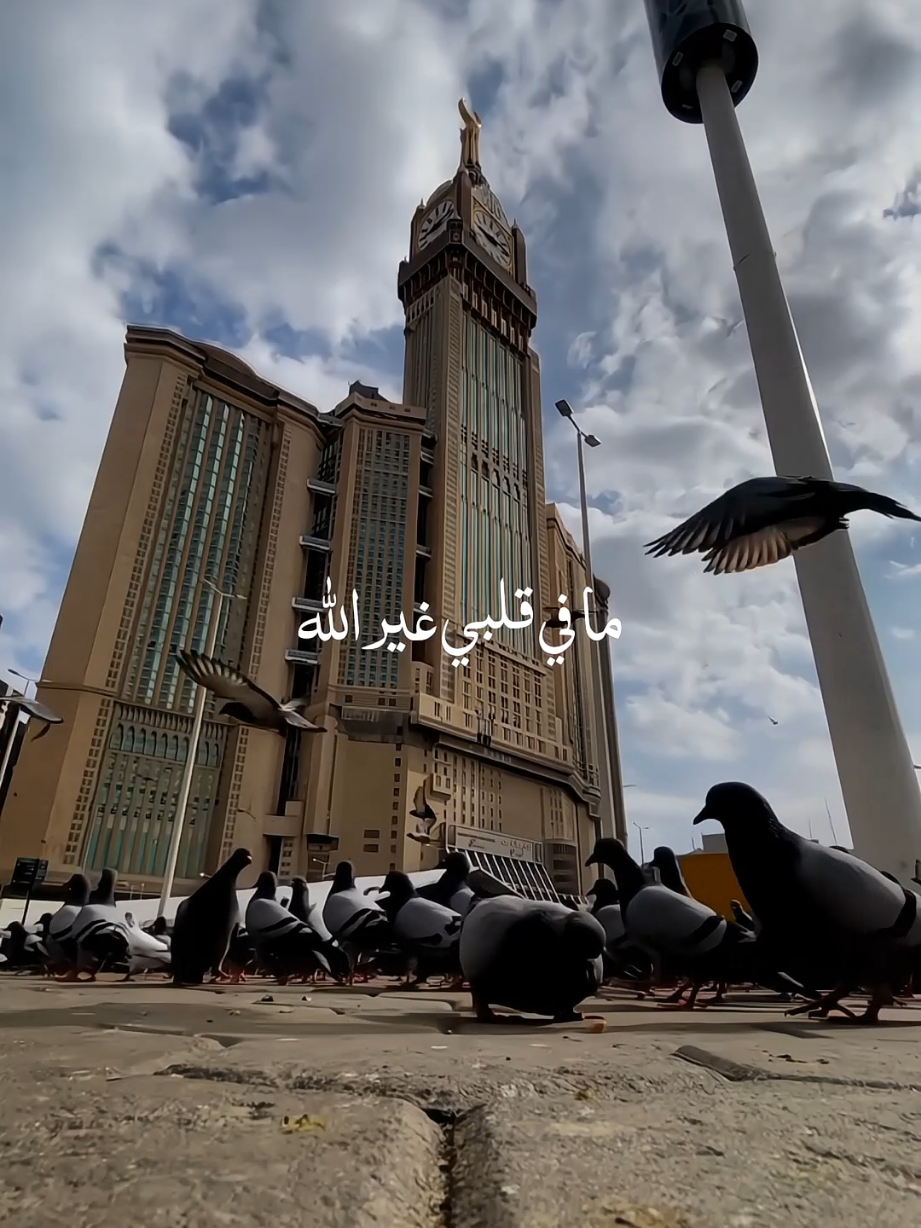 Hasbi Rabbi Jallallah  . . . . #nasheed #islamicstatus #viralvideos #muslimtiktok  #qalbibeats 