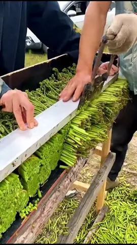 ومن هم الأربعة الذين لاترد دعوتهم عند الله #بدر_المشاري 👏 #بدر_المشاري📚  #قصص_دينية❤🌸 #اكتب_شيء_تؤجر_عليه🌿🕊  #اعادة_نشر🔁 