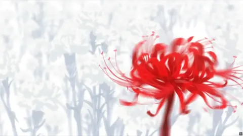 #counterstrike #68 #simple #deko #эдит 