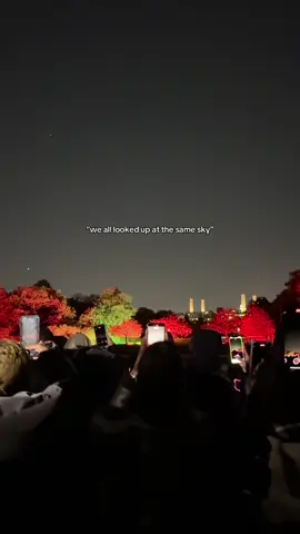 🤍 #fireworks #london #fyp #battersea #batterseapark 