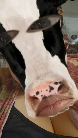 Will you help me? #hideabody #willyouhelpmehideabody 