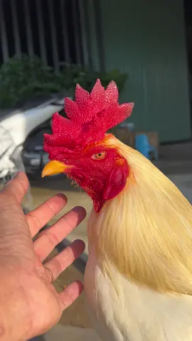 Có cố gắng có thành công ❤️ 