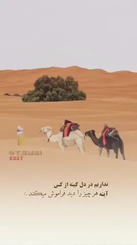 #furyou #furyoupage #funnyvideos #afghanistan🇦🇫  ✋✋👍