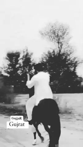 گجر#گجرات_ #murshad #pyfツviral_ #گھوڑے_شوق_نواباں_دا🐴 #fullviralvideo 