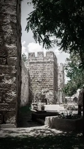 #سمير_صبيح  #شعراء_وذواقين_الشعر_الشعبي_العراقي#شعروقصايد_خواطر_غزل_عتاب #شعر#fyp  