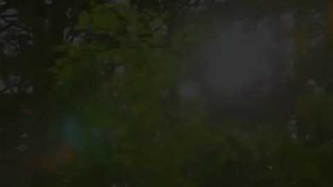 今日好きになりました #小島健  #佐野晶哉 #末澤誠也 #正門良規 #草間リチャード敬太 