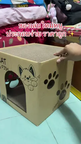 บ้านน้องเเมว #เปิดการมองเห็น #ขึ้นฟีดเถอะ #fyp 