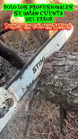 Solo los PROFESIONALES se darán cuenta del error                #motosierra #stihl #poda #mantenimiento #jardineria 