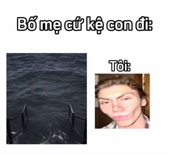 Con có lông 🐦 rồi #memehaihuocusa#meme