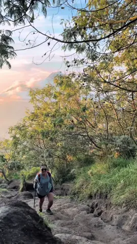 #fyp #fypシ゚viral #explore #merbabuviaselogancik #mountain 