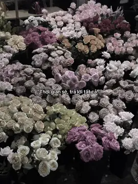 #huatuan_08 #_quan_1108🧸 