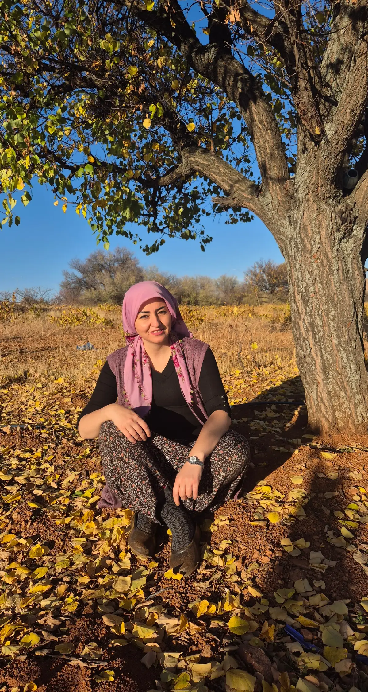 Sonbahar döker yapraklarını, biz dökmeyiz #umudumuzu. Çünkü biliyoruz; yeniden filizlenmek için dökülür her yaprak. 🍁 Bizim de zamanımız, yeniden yeşermek için geliyor..