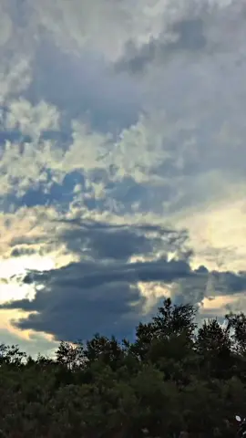 #kaltengpride #fyppppdong