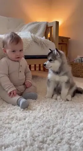 baby cute with his dog