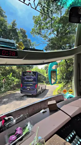 #CapCut #CapCut #fyp #fypシ゚viral #berlianatranspekalongan 