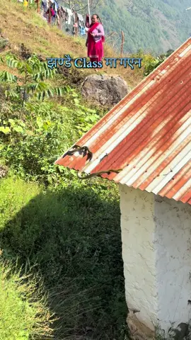 Schoolko channama sarpa kasari gayo?? #snake #vews_my_video_tiktok #gkmedia744 #frog @lisaand lena 