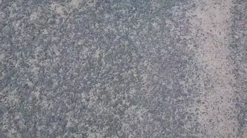 #aemeken @Trần Nghĩa idol chích dữ quá 