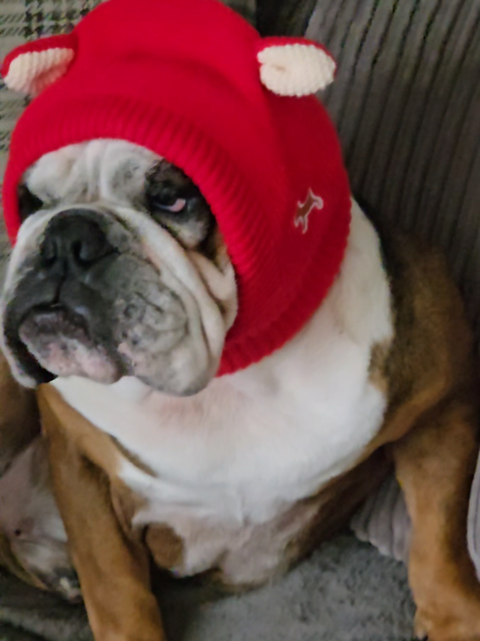 #foryoupage❤️❤️ #foryou #tiktokmademebuyit #foryoudays #dealdrops 