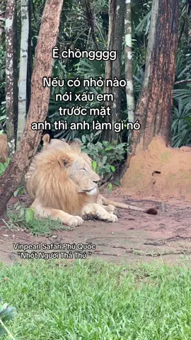 Vinpearl Safari Phú Quốc 