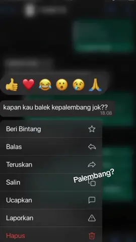 Rindu Palembang.... #palembangpride #fyp #wongkitogalo #rantau #foryoupage 