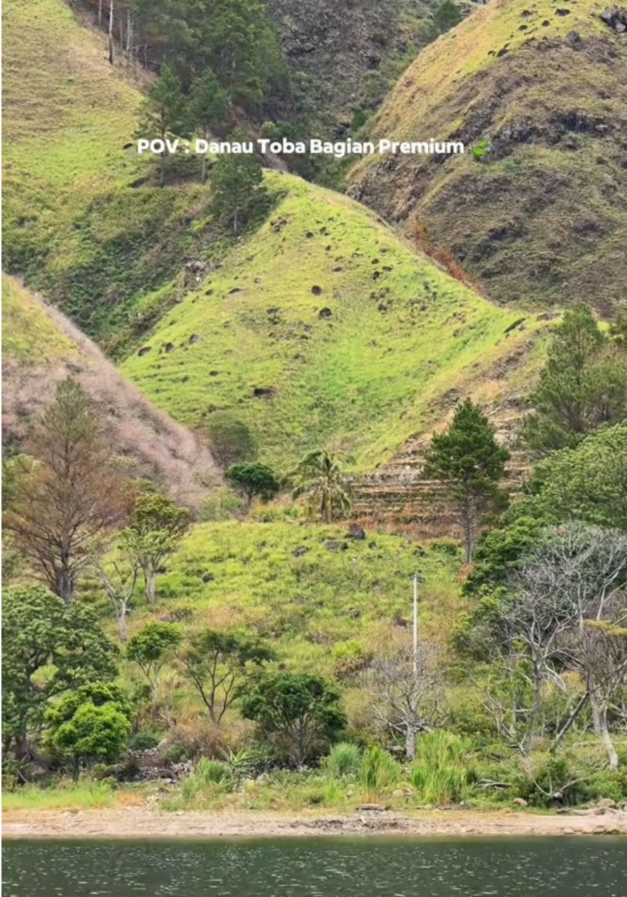 Danau Toba setelah selesai kemarau panjang 🍃 #danautoba 
