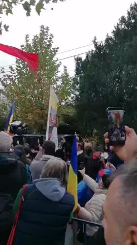 @calin.georgescu.real 