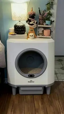 Dreamcat sale launching: free delivery + bonus gift included!#automaticlitterbox #smartlitterbox #fyp #tiktok #cat 
