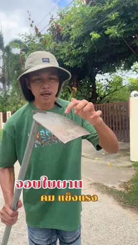 จอบขุดดินใบผานไถ #จอบ #จอบขุด  #จอบขุดดิน #จอบถากหญ้า  #จอบดายหญ้า 