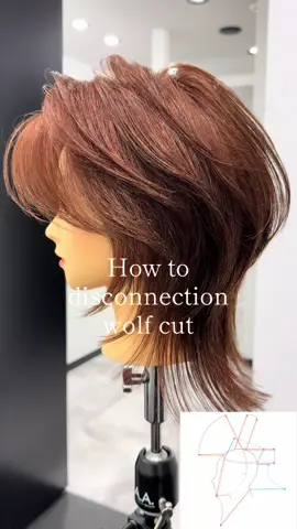 レイヤーカット ⁡ 美容室難民を多数救ってます👼🏻 ⁡ レイヤースタイルを特に推してます 