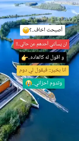 #متابعه_ولايك_واكسبلور_احبكم #فرنسا🇨🇵_بلجيكا🇧🇪_المانيا🇩🇪_اسبانيا🇪🇸 #creatorsearchinsights #foryoupage 