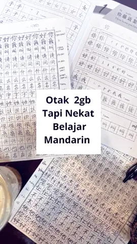 #fyp #study #belajaronline #mandarin #bahasamandarin 