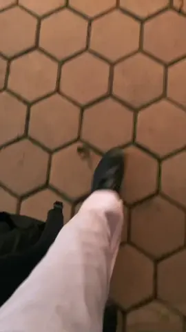 #jalesvevajayamahe #smkn1puringpelayaran #smkn1puring 