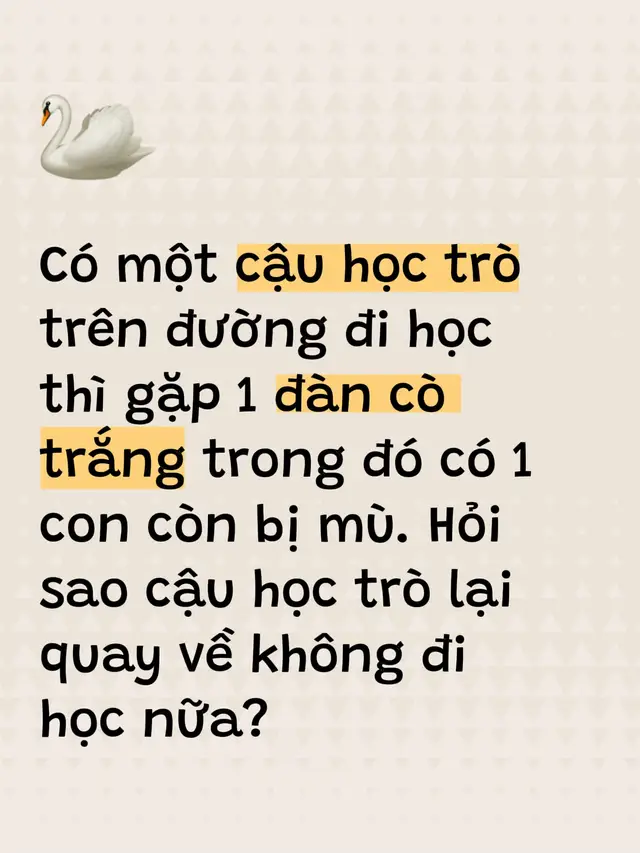 Các bạn cùng tìm câu trả lời giúp mình nha!😁