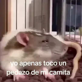 #fouryou #paratiiiiiiiiiiiiiiiiiiiiiiiiiiiiiii #cama #fyp #lentejas 