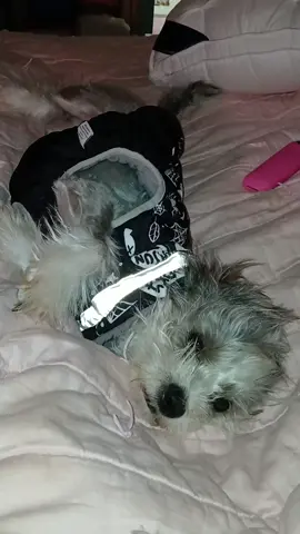 #mentalhealthmatters #group7 #group69 #trailerpeople💗 #☠️gen❌️☠️ 