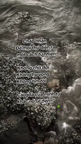 #stt #tamtrang #motchutbuon 